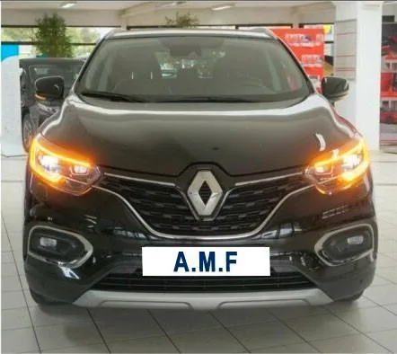 RENAULT Kadjar Blue dCi 8V 115 CV Life Image 1